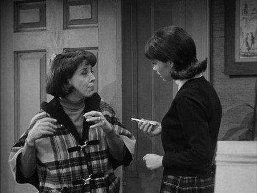 The Dick Van Dyke Show Season 5 Episode 30 - Long Night's Journey into Day