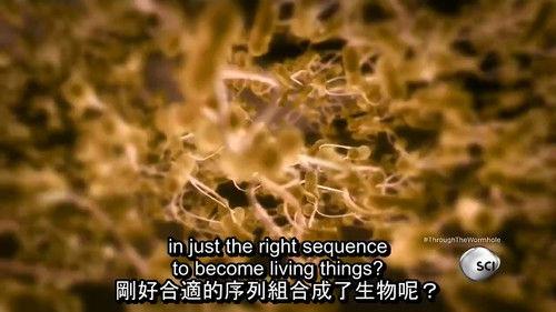 Through the Wormhole Season 6 Episode 3 - Are We Here for a Reason?