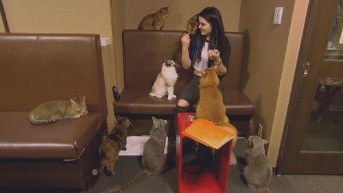 Total Divas Season 5 Episode 1 - Love Triangle