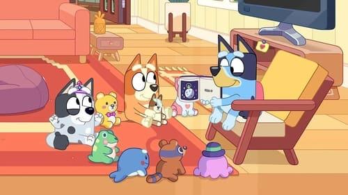 Bluey Season 2 Episode 30 - Library
