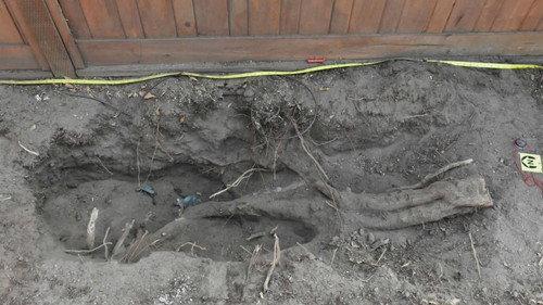 Buried In The Backyard Season 1 Episode 6 - Murder House