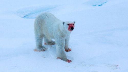 Ut i naturen Season 27 Episode 2 - Episode 2