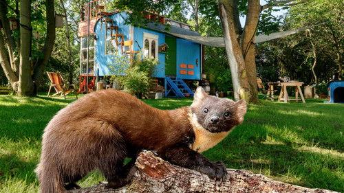 Löwenzahn Season 41 Episode 3 - Episode 3