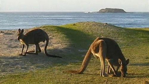 Cestománie Season 5 Episode 23 - Episode 23