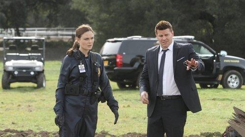 Bones Season 8 Episode 17 - The Fact in the Fiction