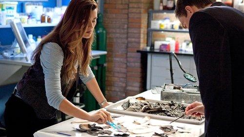 NCIS Season 8 Episode 19 - Tell-All