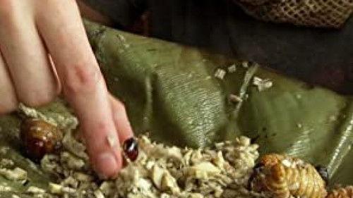 Wild Things with Dominic Monaghan Season 1 Episode 6 - Army Ants