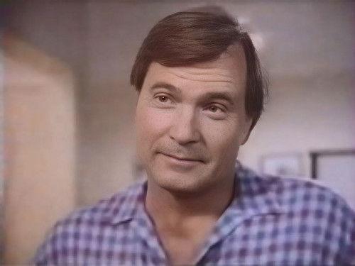 Sidekicks Season 1 Episode 9 - The Birds and the Killer Bees