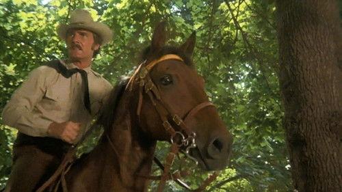 McCloud Season 1 Episode 3 - Manhattan Manhunt (1) (or Horse Stealing on Fifth Avenue)