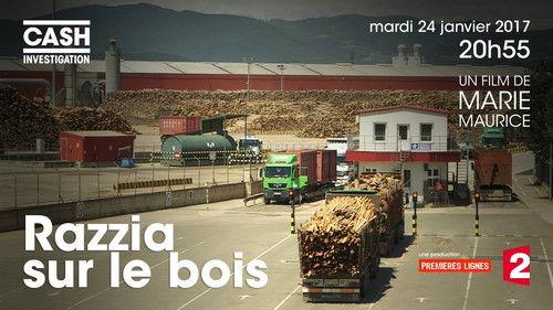 Cash Investigation Season 5 Episode 3 - Razzia on wood, the furniture giants' promises in kit form