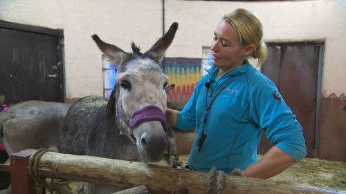 Dyrepasserne Season 10 Episode 8 - Episode 8