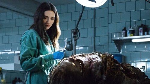 undefined Season 1 Episode 1 - Pilot