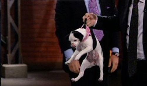 Dragons' Den Season 5 Episode 7 - Episode 7