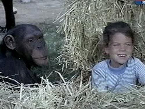 Daktari Season 4 Episode 1 - A Family for Jenny