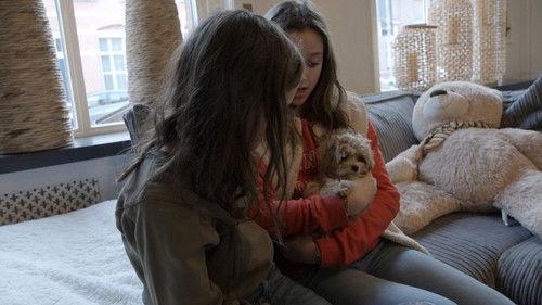 Een Huis Vol Season 16 Episode 1 - Episode 1