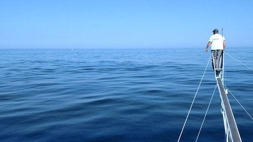 Wicked Tuna Season 5 Episode 6 - Help Wanted