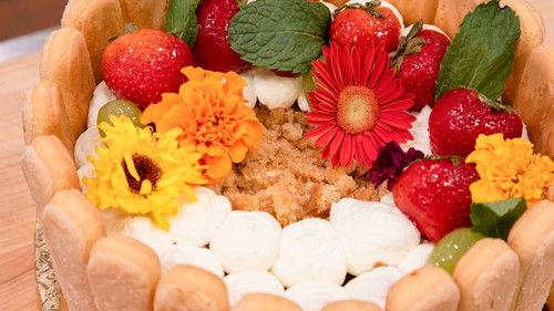 Spring Baking Championship Season 7 Episode 7 - The Spring Cookie Classic