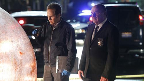 CSI: Crime Scene Investigation Season 14 Episode 8 - Helpless