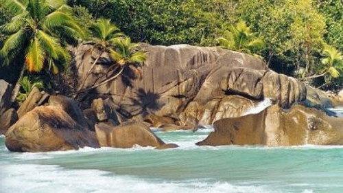 Natural World Season 19 Episode 8 - Seychelles: Jewels of a Lost Continent