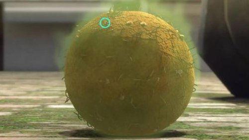 Larva Season 5 Episode 15 - Episode 15