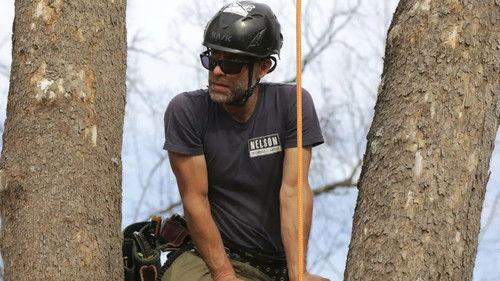 Treehouse Masters Season 9 Episode 6 - Jeffersonian Honeymoon Suite