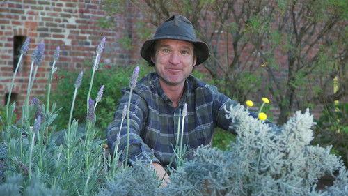 Gardening Australia Season 31 Episode 8 - Episode 8 Tropical Treasures, Orchid Revival & Elevating Edibles