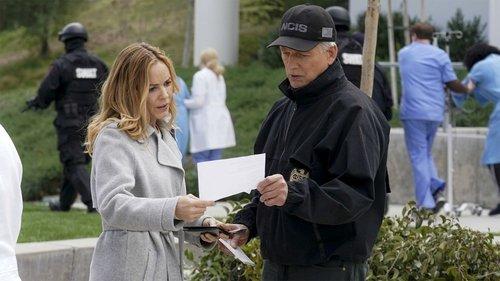 NCIS Season 16 Episode 19 - Perennial
