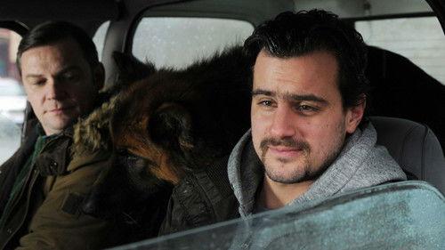 Komisarz Alex Season 3 Episode 7 - Episode 7