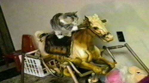 Funniest Pets & People Season 4 Episode 1 - Whoops!