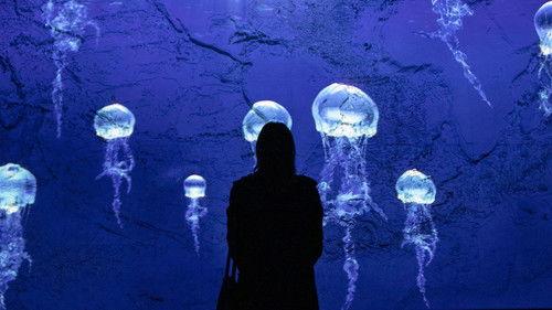 Petra Season 1 Episode 3 - Messengers of darkness