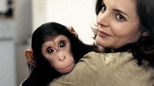 Tierärztin Dr. Mertens Season 1 Episode 1 - Episode 1