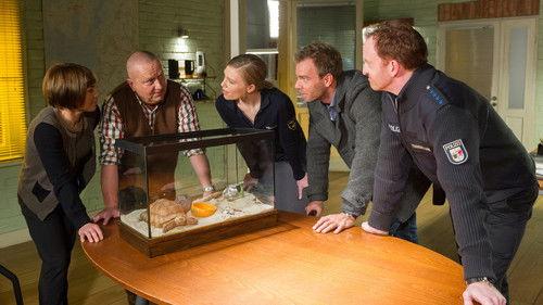 SOKO Wismar Season 11 Episode 22 - Episode 22