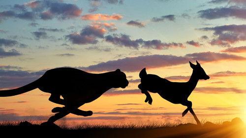 Nature's Fast Attacks Season 1 Episode 1 - The Fast and the Furious