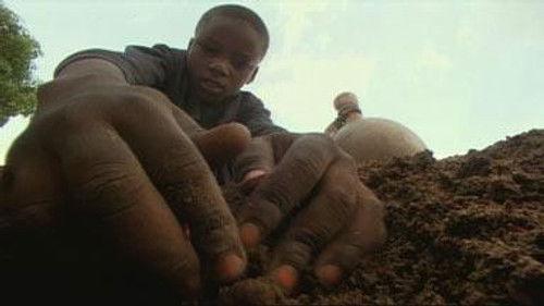 NOVA Season 35 Episode 6 - Master of the Killer Ants