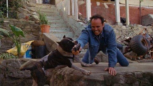 undefined Season 2 Episode 8 - Scar Tissue