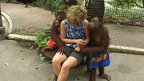 Monkey Business Season 6 Episode 10 - Episode 10