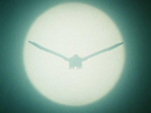 Ninja Sentai Kakuranger Season 1 Episode 23 - Blitzkrieg!! The Strange White Bird