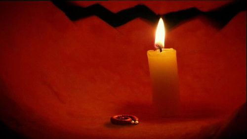 Minuscule: The Private Life of Insects Season 1 Episode 9 - Halloween Paranoid