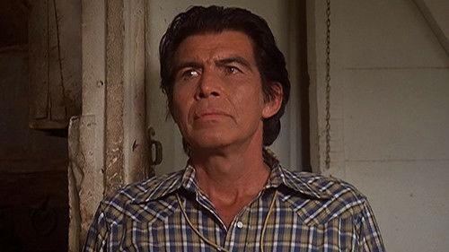 The Incredible Hulk Season 2 Episode 4 - Rainbow's End