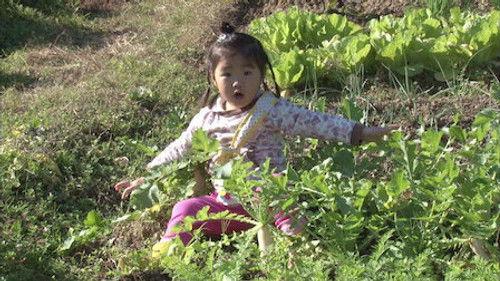 Old Enough! Season 1 Episode 20 - Episode 20