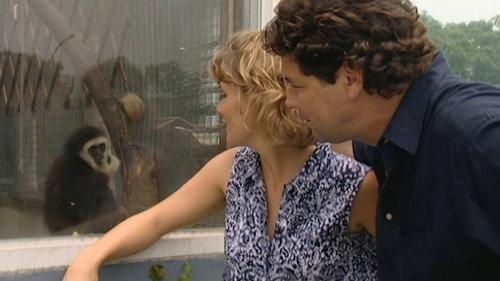 Monkey Business Season 5 Episode 2 - Episode 2