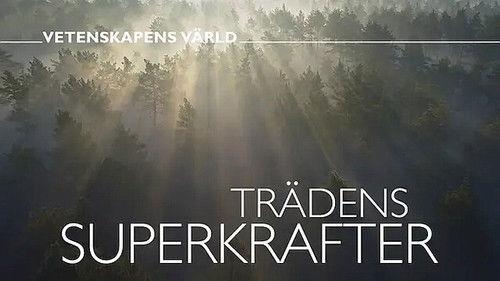 Vetenskapens värld Season 47 Episode 15 - Episode 15