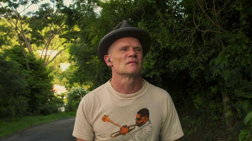 Painting With John Season 3 Episode 4 - My Friend Flea