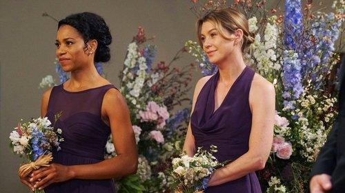Grey's Anatomy Season 12 Episode 24 - Family Affair