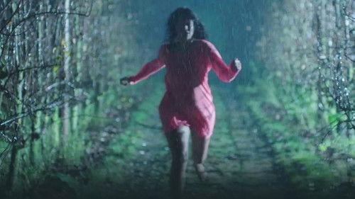 Sylvia's Cats Season 1 Episode 4 - Episode 4