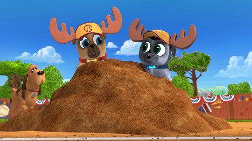 Puppy Dog Pals Season 2 Episode 19 - Valentine Surprise