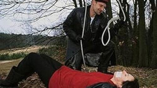 Alarm for Cobra 11: The Motorway Police Season 3 Episode 5 - Revenge is sweet