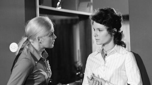 Polizeiruf 110 Season 4 Episode 9 - Nachttaxi