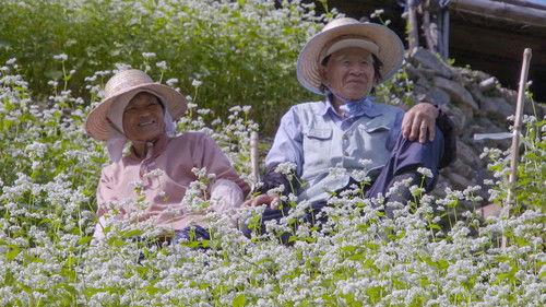 Hometown Stories Season 12 Episode 19 - Life on a Sloping Farm