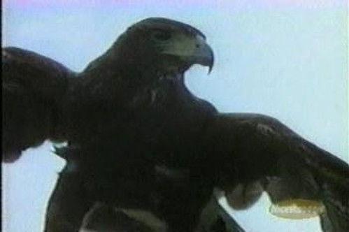 Animorphs Season 1 Episode 16 - Tobias